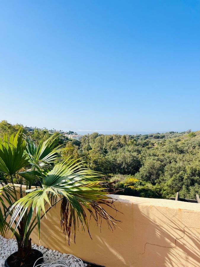 Penthouse Au Calme Avec Vue Nature Environnante Et Tres Grandes Terrasses